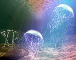 jellys copy1280X1024